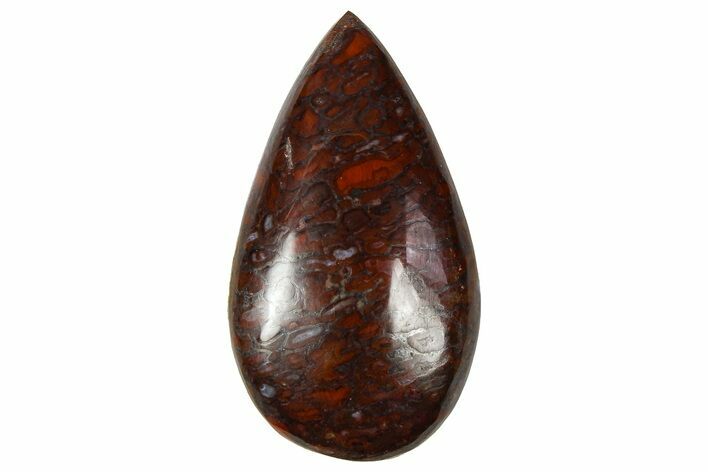 Polished Dinosaur Bone (Gembone) Cabochon - Colorado #370761